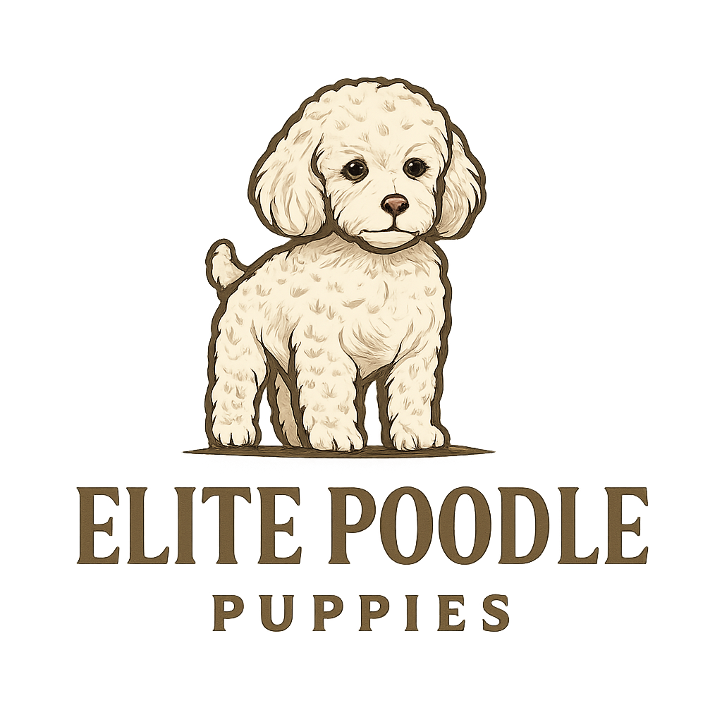 elitepoodlepuppies.com