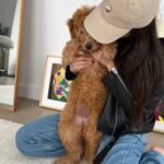 whatsapp image 2025 09 16 at 15.21.17 a50281a6