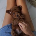 whatsapp image 2025 09 16 at 15.21.22 4fd46a6e