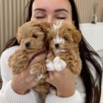 whatsapp image 2025 09 16 at 15.21.30 60aa0cd1