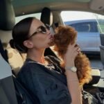 whatsapp image 2025 09 16 at 15.21.31 e4fc94b1