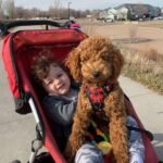 whatsapp image 2025 09 16 at 15.21.39 7ecbfc28