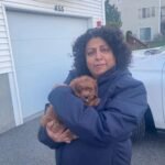 whatsapp image 2025 09 16 at 15.21.40 6f848120