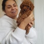 whatsapp image 2025 09 16 at 15.21.50 9d140a3d